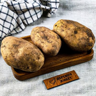 Картофель для запекания Тульский