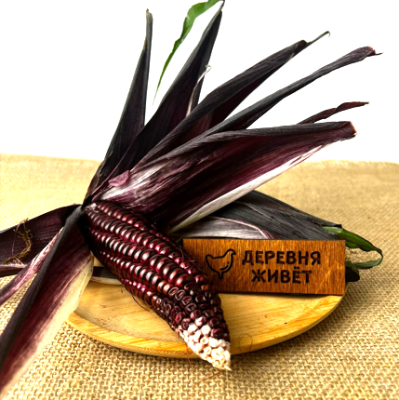 Кукуруза "Каберне"