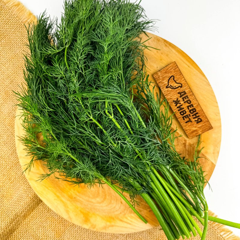 Укроп