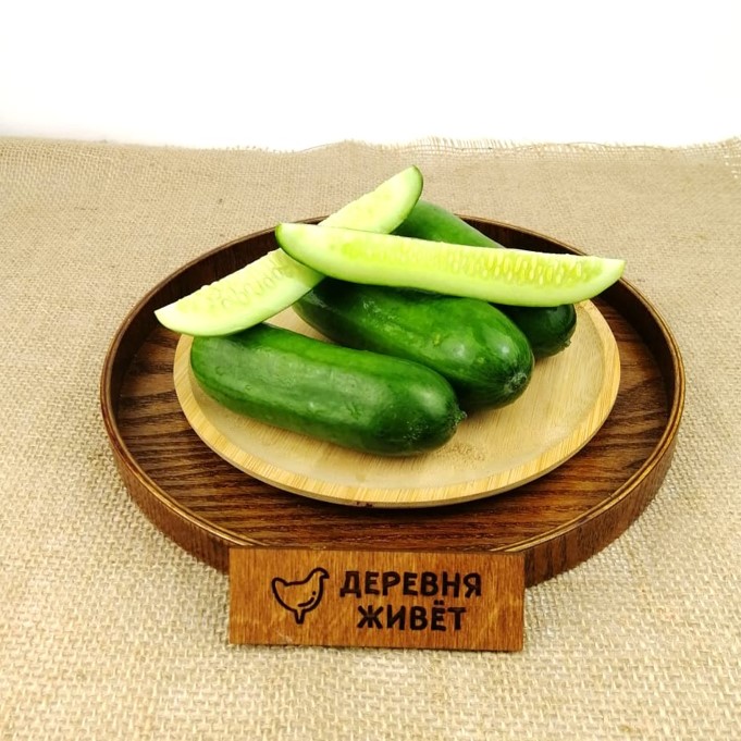 Огурцы гладкие "Бакинские" Тульские