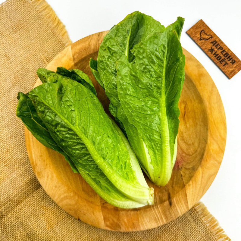 Салат "Бэби Рем" 140 г